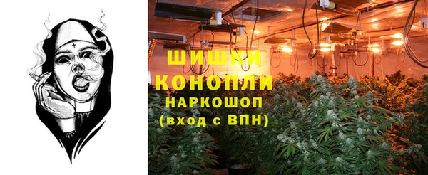 spice Володарск