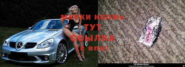 гашик Вяземский