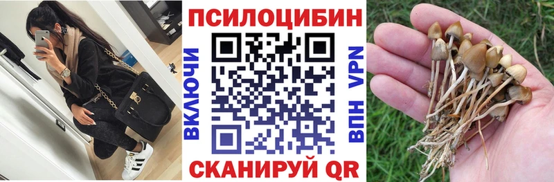 Купить где  Красный Холм  Галлюциногенные грибы GOLDEN TEACHER 